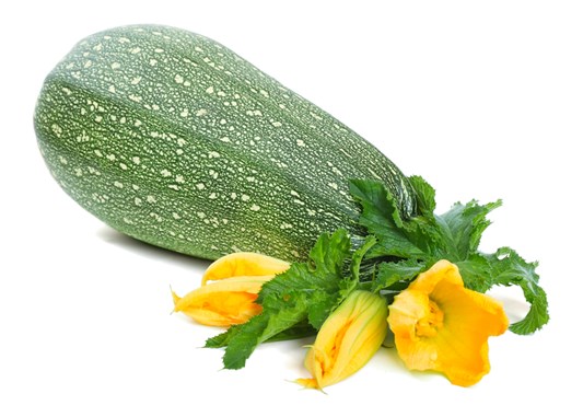 Baladi zucchini