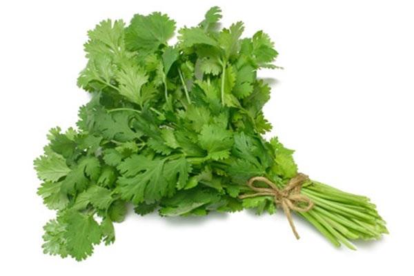 Coriander