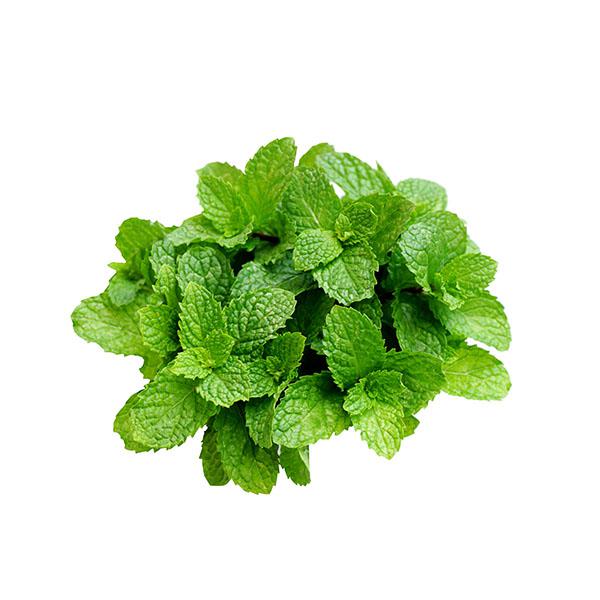 mint