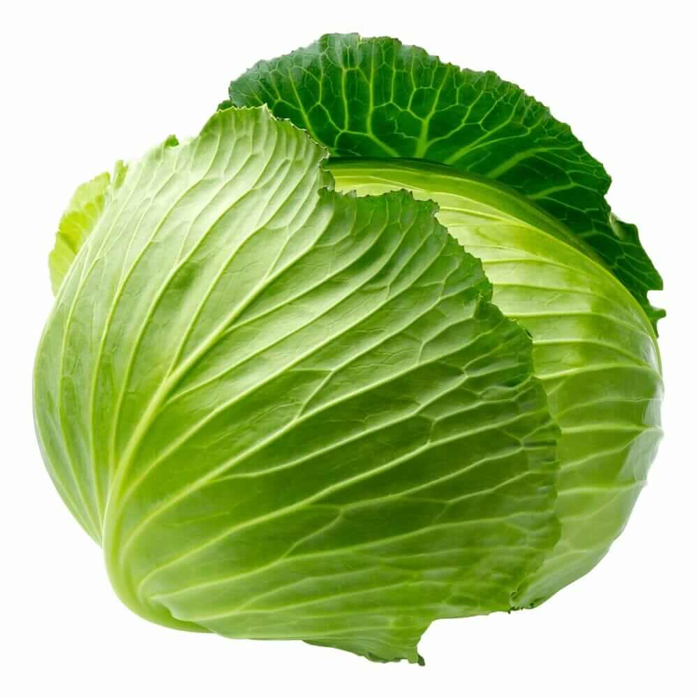 Baladi cabbage