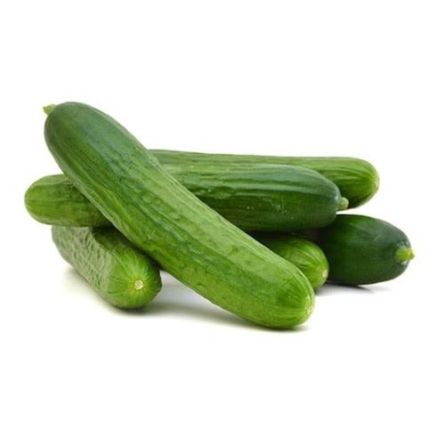 Cucumber