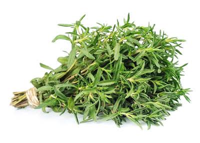Thyme