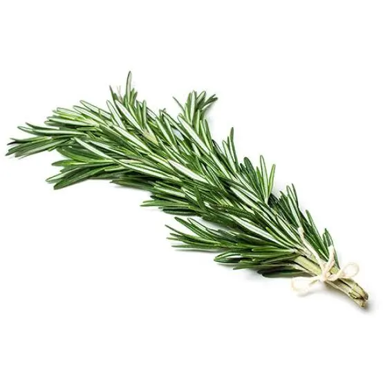 Rosemary
