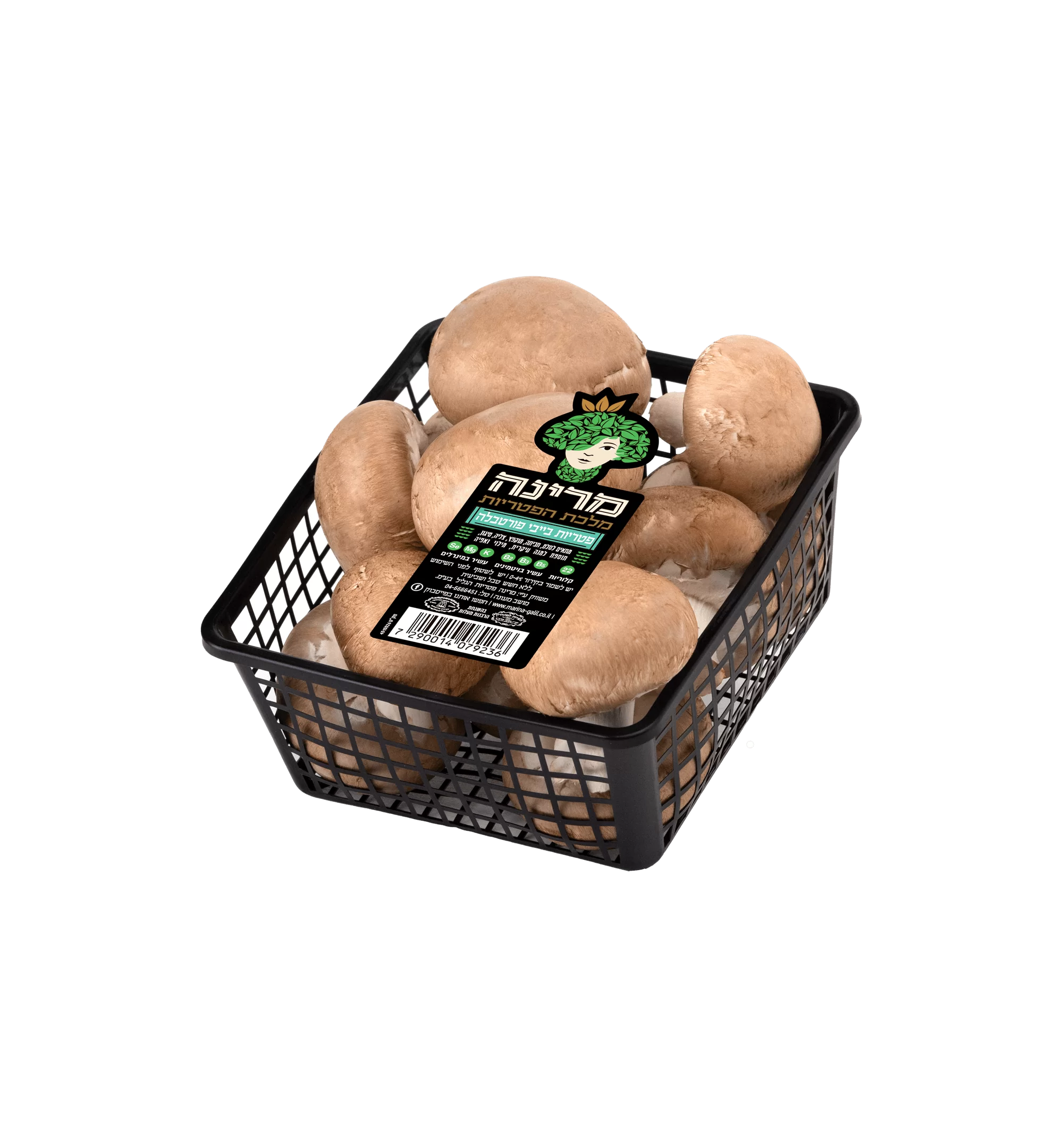 Mushtooms Portobello