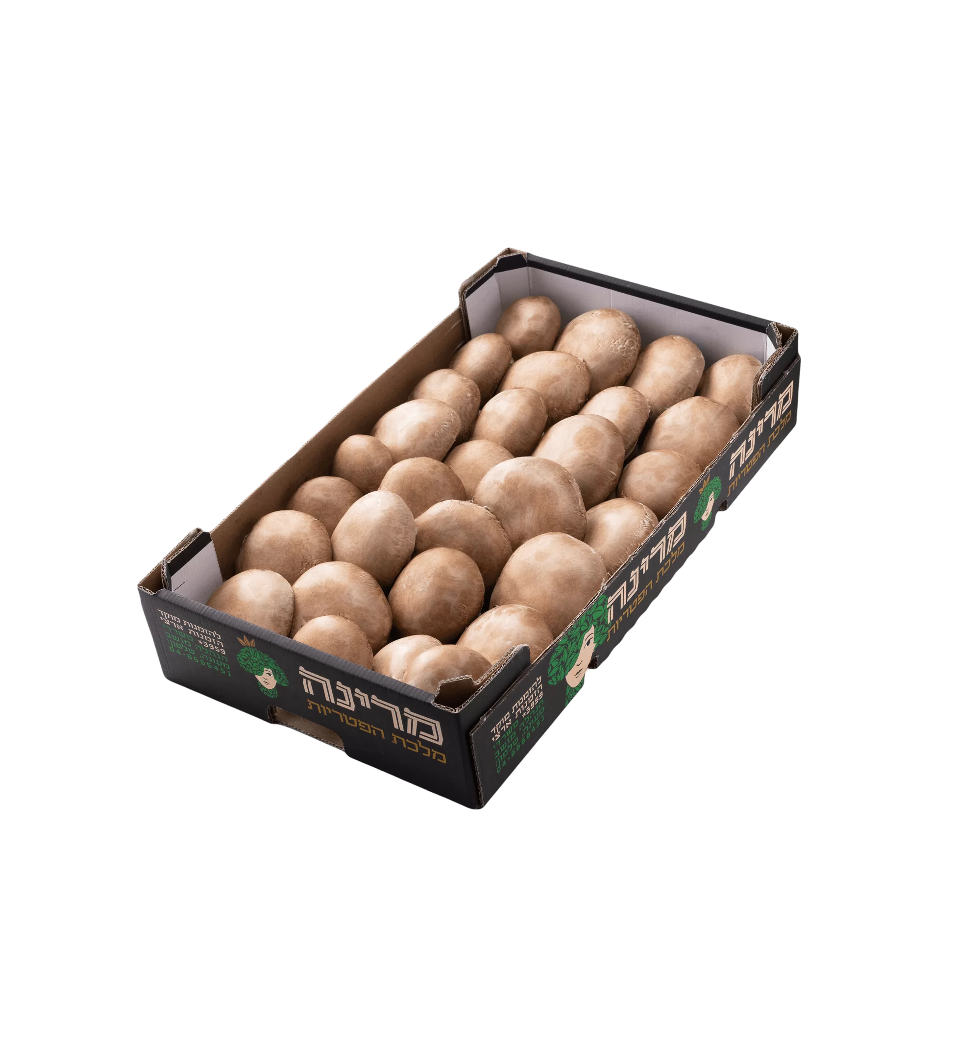 Mushrooms portabella