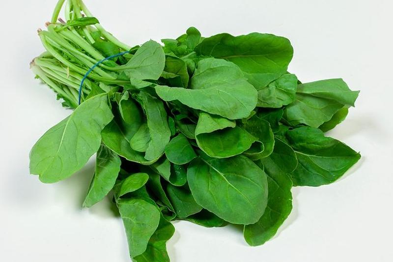 Arugula