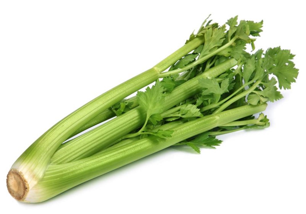 Celery leaves