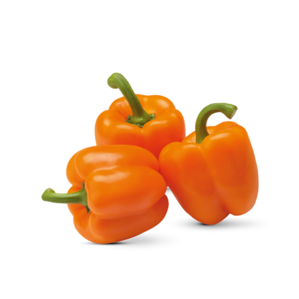 orange bell pepper
