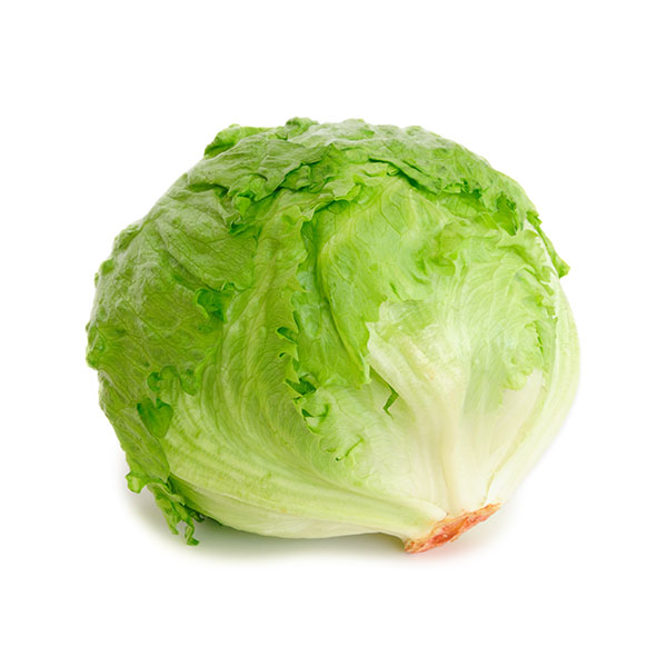 Iceberg Lettuce