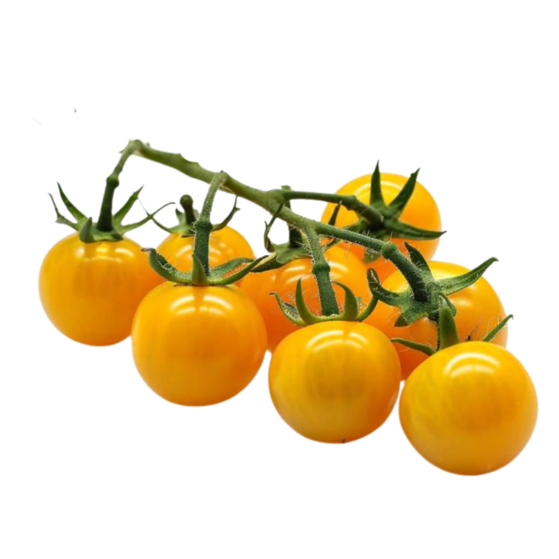 Yellow cherry tomatoes
